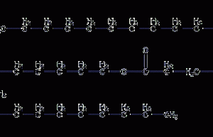 Structural formula of palmityl palmitate