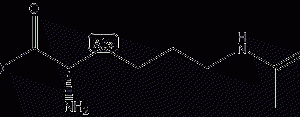 Nε-acetyl L-lysine structural formula