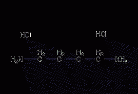 1,4-diaminobutane dihydrochloride structural formula