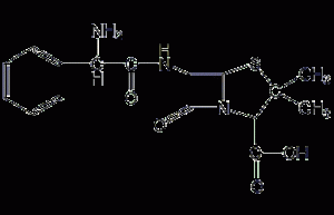 Ampicillin Structural Formula