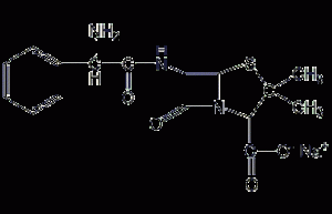 Ampicillin sodium structural formula