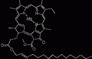 Chlorophyll b structural formula